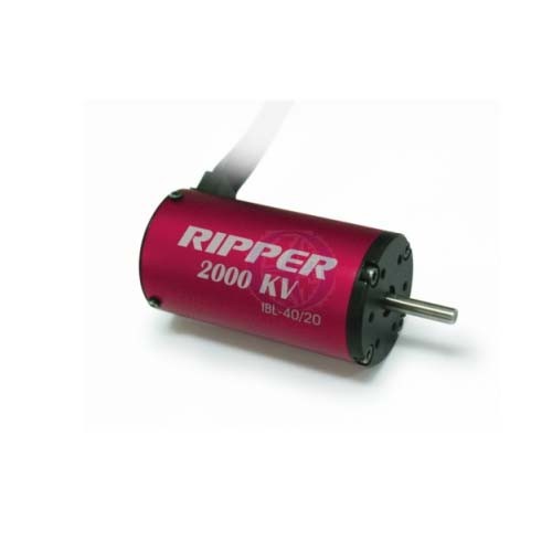 Thunder Tiger Brushless Motor RIPPER IBL 40/20 2000 KV RC Buggy - RC Truggy 1:8